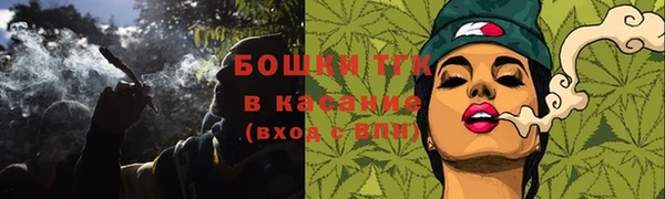 прущие грибы Аркадак