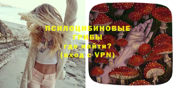 ECSTASY Армянск