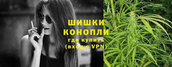 прущие грибы Аркадак