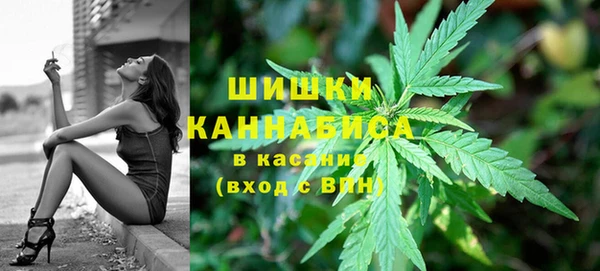 дмт Алзамай